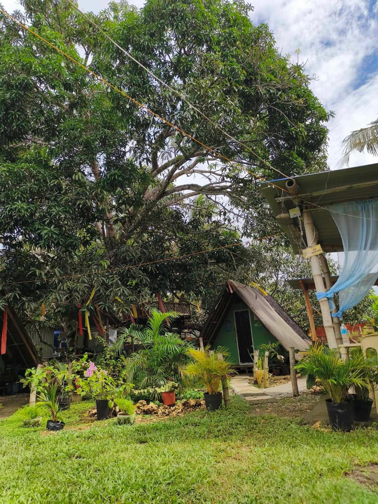 Lagkaw Uno In Lagkaw Homestay Panglao-stad Buitenkant foto